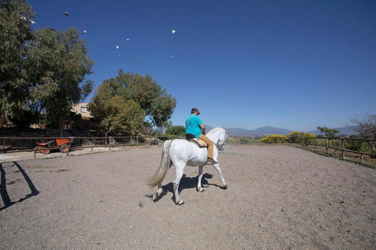 Country house Da Luigi: Rural With Pool And Horseback Riding
