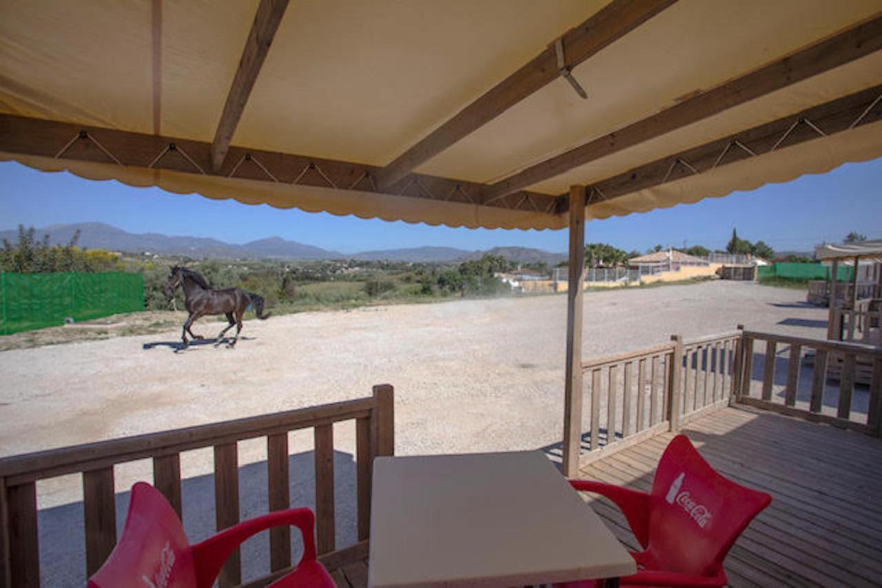 Da Luigi: Rural With Pool And Horseback Riding * Cartama