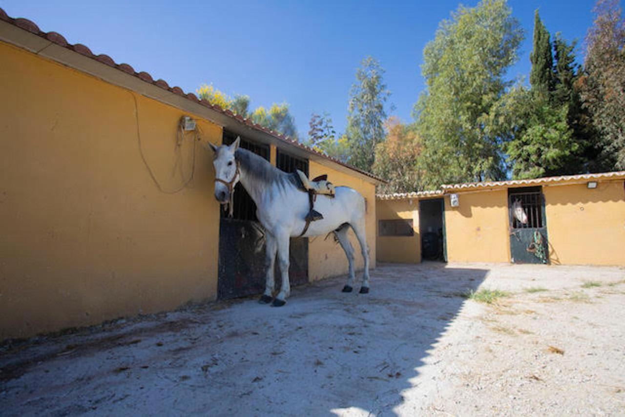Da Luigi: Rural With Pool And Horseback Riding * Cartama