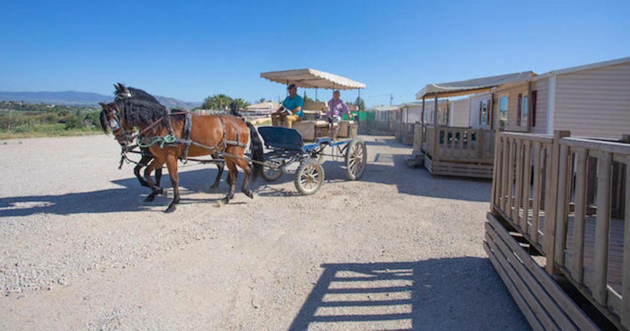 Da Luigi: Rural With Pool And Horseback Riding