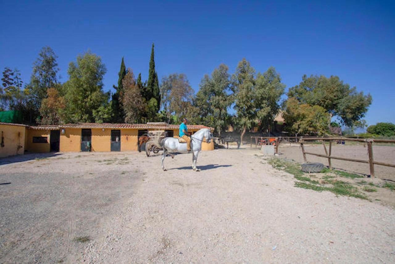 Country house Da Luigi: Rural With Pool And Horseback Riding *
