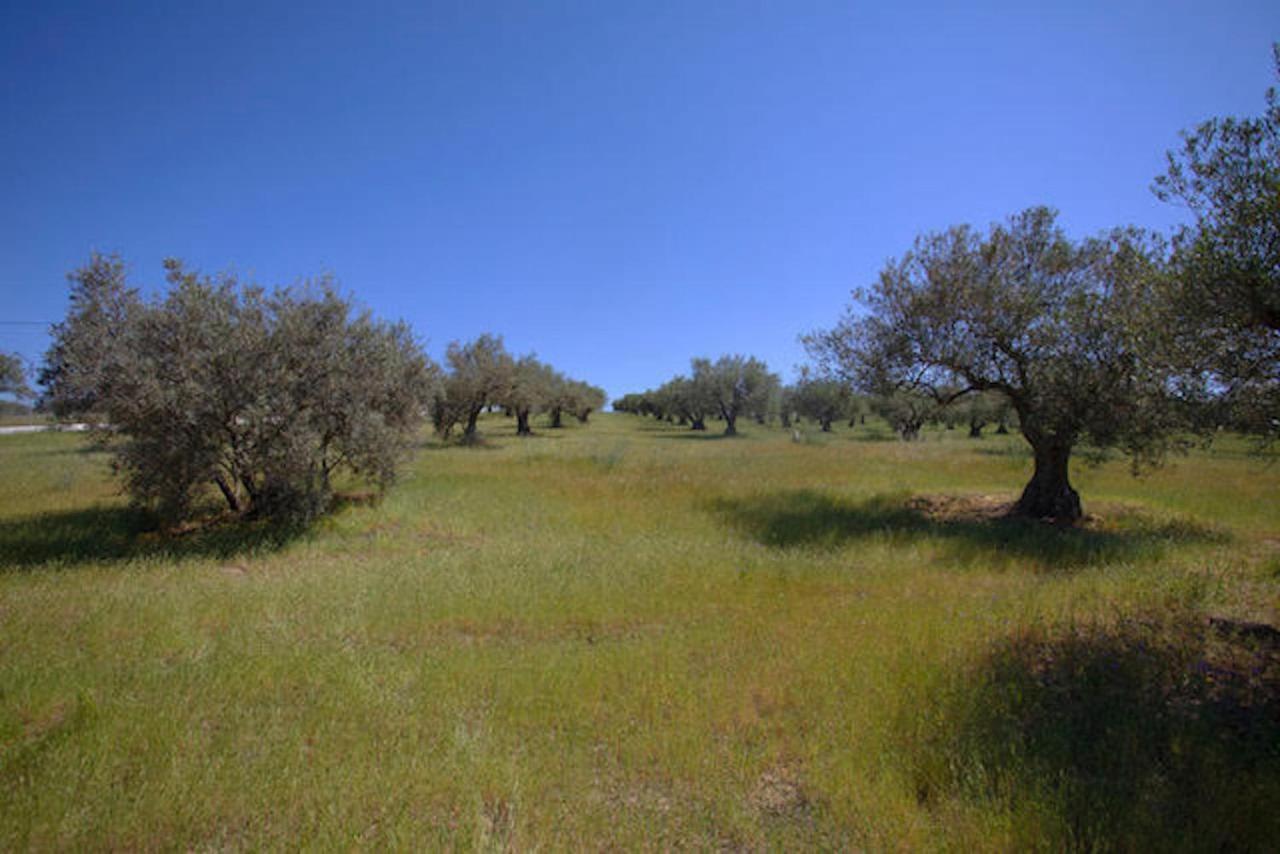 Da Luigi: Rural With Pool And Horseback Riding Country house Cartama